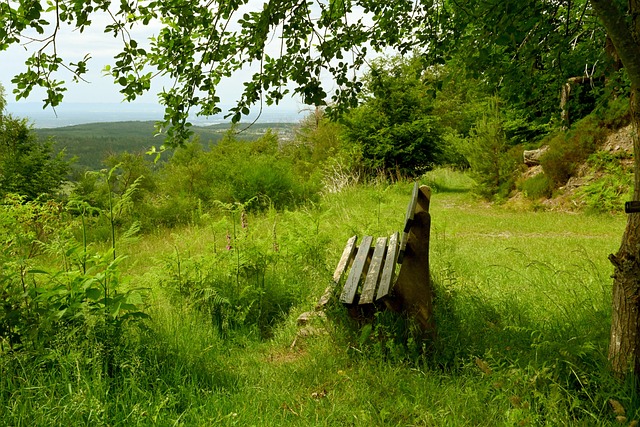 上取得佳绩 上取得佳绩