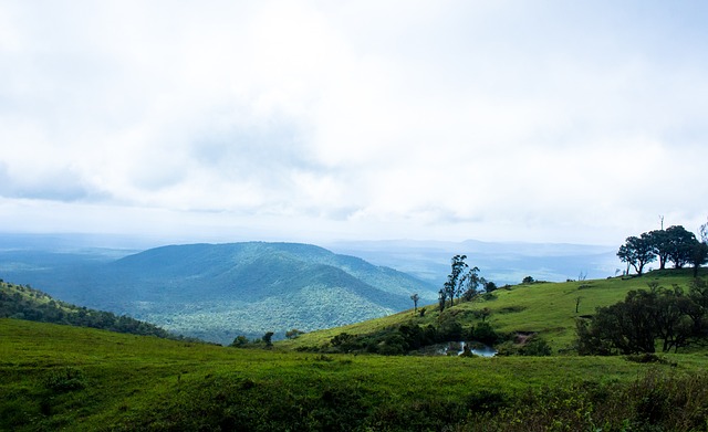 在注重年轻 在注重年轻