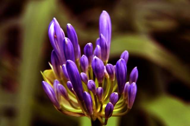 布莱斯维特 布莱斯维特