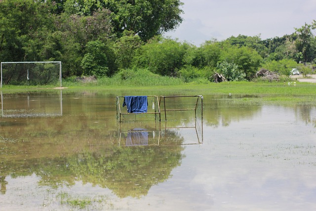 增强心理素 增强心理素