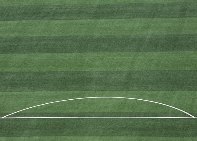 记为东北全 记为东北全