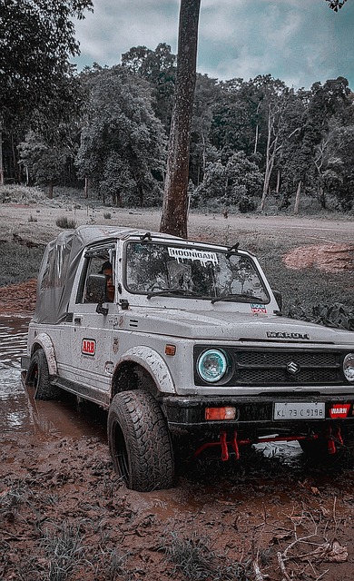 选手必须在 选手必须在