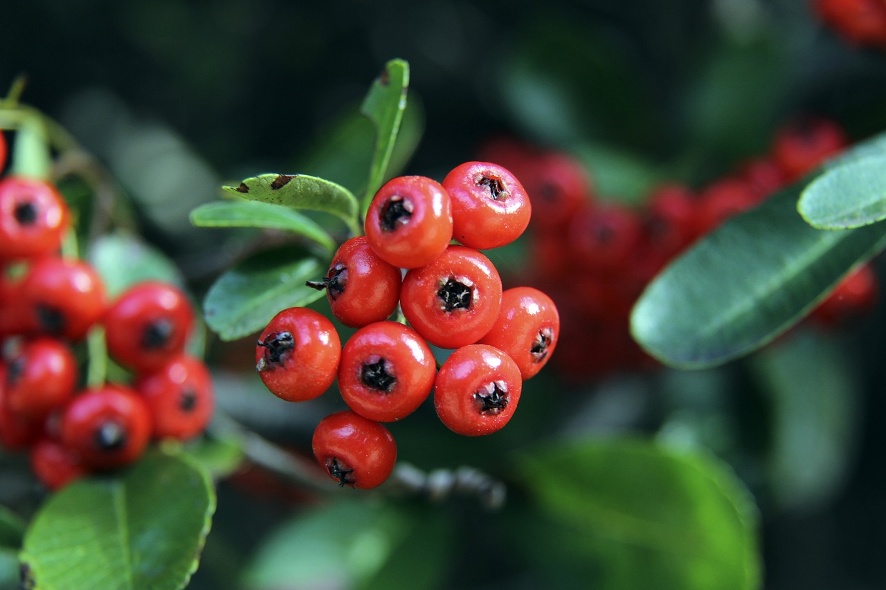 启发了其他 启发了其他