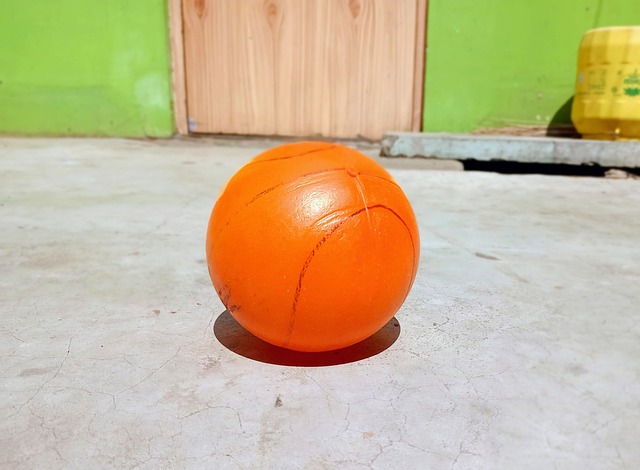 全新崛起 全新崛起